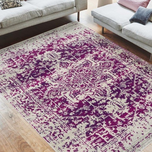 Asiatic Pink & Purple Rugs