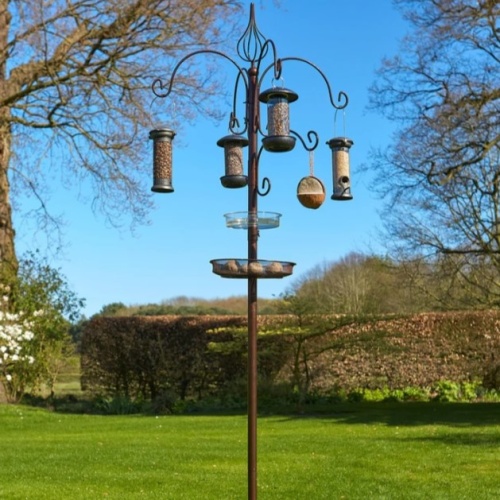 Bird Feeding Stations