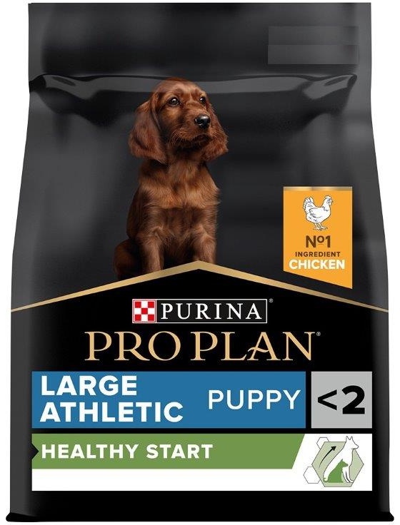 Pro plan hot sale dog food