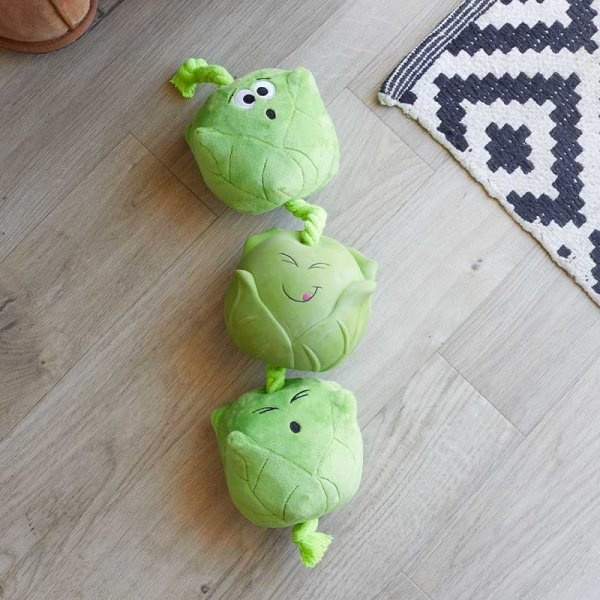 Brussel sprout dog top toy