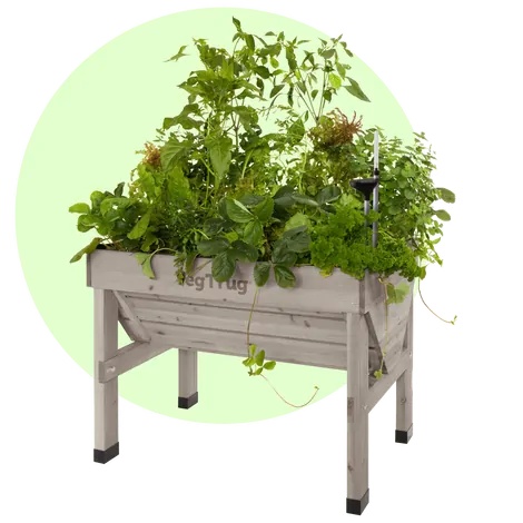 VegTrug Small Classic Raised Planter - Grey Wash Wood | Downtown