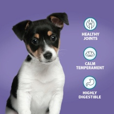 Burns Puppy Original Chicken Dog Food - 2kg Burns Puppy Original Chicken Dog Food - 2kg