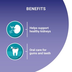 Purina One Senior Dry Cat Food Chicken - 2.8kg Purina One Senior Dry Cat Food Chicken - 2.8kg