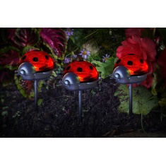 Smart Solar Ladybirds - Triple Pack Smart Solar Ladybirds - Triple Pack