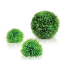 biOrb Aquatic Topiary Ball Set 3 Green biOrb Aquatic Topiary Ball Set 3 Green