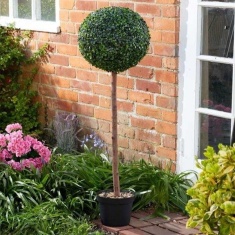 Smart Garden Uno Topiary Tree 120cm Smart Garden Uno Topiary Tree 120cm
