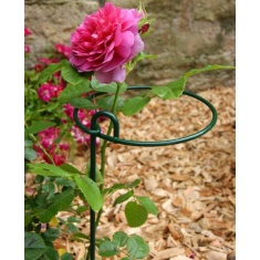 Poppy Forge Bunch Support - Pack of 4 Poppy Forge Bunch Support - Pack of 4