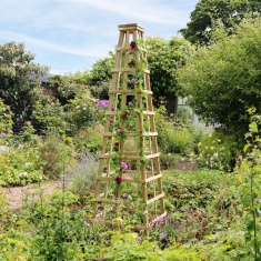 Zest Garden Snowdon Wooden 2m Obelisk Zest Garden Snowdon Wooden 2m Obelisk