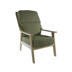 Daro Benham Lounging Chair