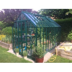 Elite 6ft 3' Wide Thyme 6 Greenhouse