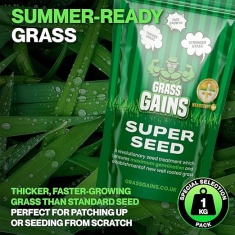 Grass Gains Lawn Super Seed (Fast Growth) - 1kg