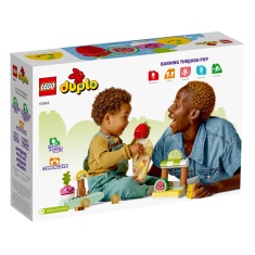 LEGO Duplo 10983 My First Organic Market