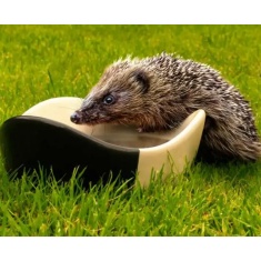 Henry Bell Hedgehog Bowl