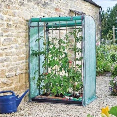 Smart Garden Tomato Grozone Max - Double Sided Smart Garden Tomato Grozone Max - Double Sided