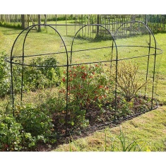 Haxnicks Steel Long Fruit Cage Haxnicks Steel Long Fruit Cage