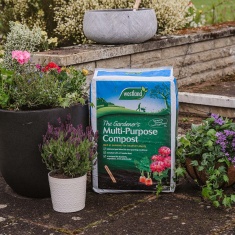 Westland The Gardener's Multi Purpose Compost - 80L