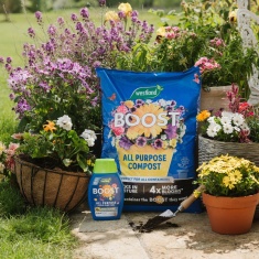 Westland Boost All Purpose Compost - 46L