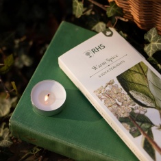 Freckleface RHS Heritage Tealights Warm Spice - Pack of 6 Freckleface RHS Heritage Tealights Warm Spice - Pack of 6