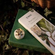 Freckleface RHS Heritage Wax Melts Warm Spice - Pack of 6 Freckleface RHS Heritage Wax Melts Warm Spice - Pack of 6