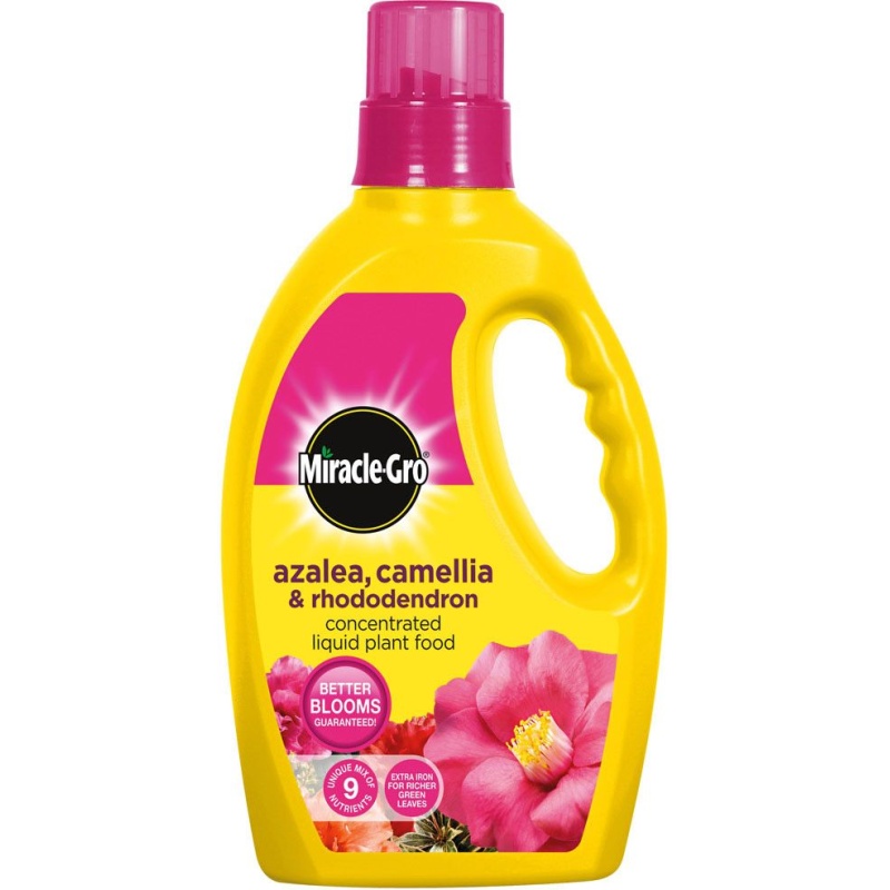 Miracle-Gro Azalea, Camellia and Rhododendron Concentrated Liquid Plant Food - 800ml