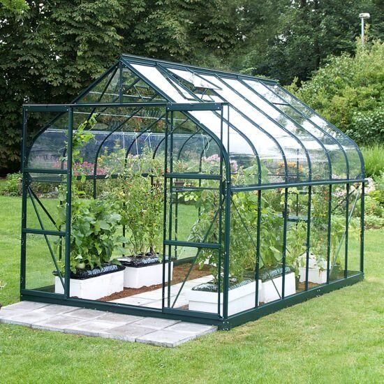 Vitavia Saturn Greenhouse - 8 x 14 - Model 11500 - 3mm Toughened Glass