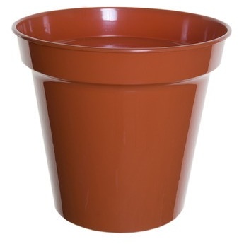 White Furze 20cm 8 Pot - Terracotta In Brown