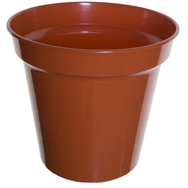 White Furze 31cm 12.5 Pot - Terracotta In Brown