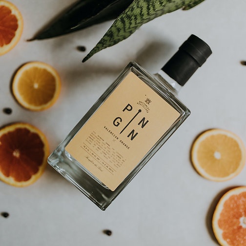 Pin Gin Valencian Orange Gin 70cl