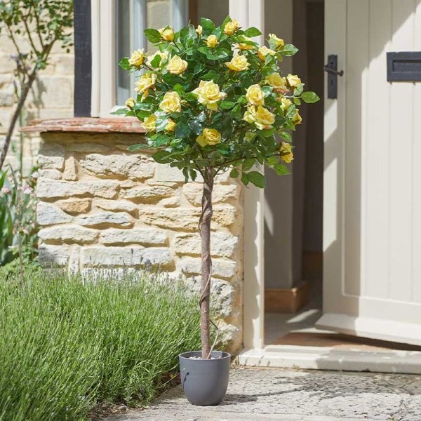 Smart Garden 120cm Regents Roses - Sunshine Yellow