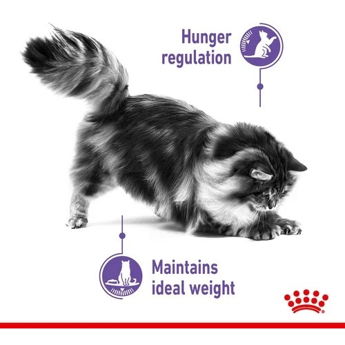 Royal canin sterilised 2024 appetite control 4kg