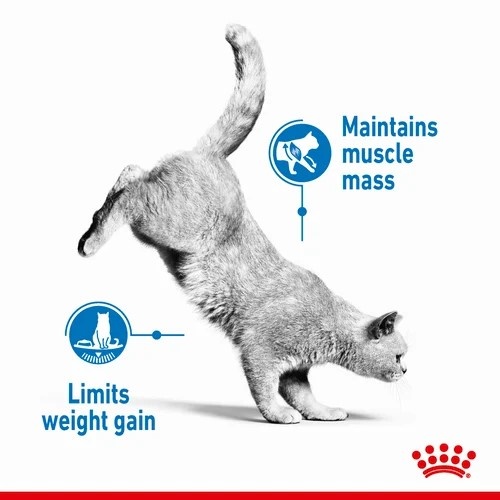 Royal canin cat weight 2024 loss