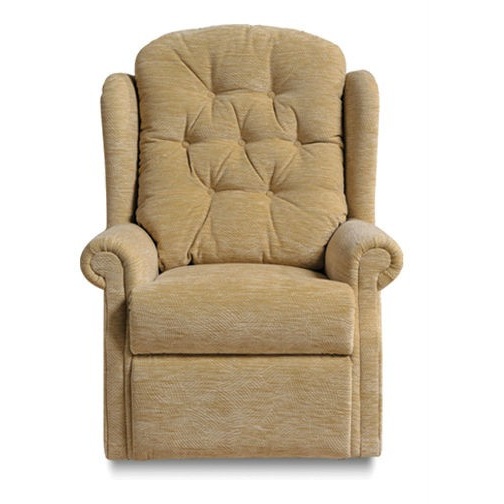 Celebrity Woburn Chair - Standard - Aquaclean Fabric - Yes