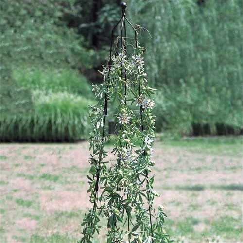 Poppy Forge Large Classic Climbing Column, Garden Obelisk, Plant Support - Solid Steel - H205.7 Cm - Adjustable Diameter