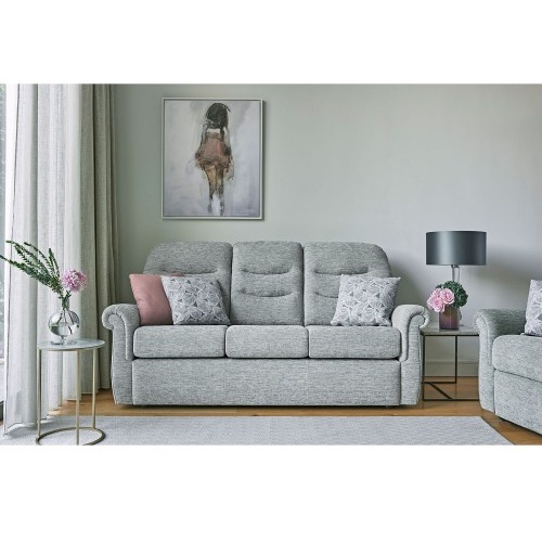 G Plan Holmes 3 Seater Sofa - Leather Grade L