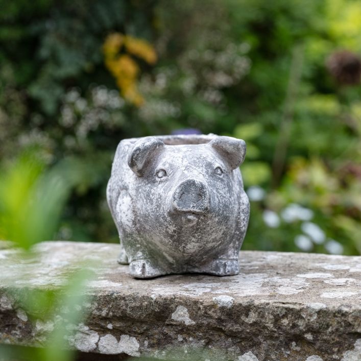 Downtown Pig Cement Planter Small - Antique White