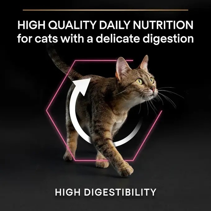 Purina Pro Plan Delicate Digestion Turkey Dry Cat Food 3kg Downto Downtown