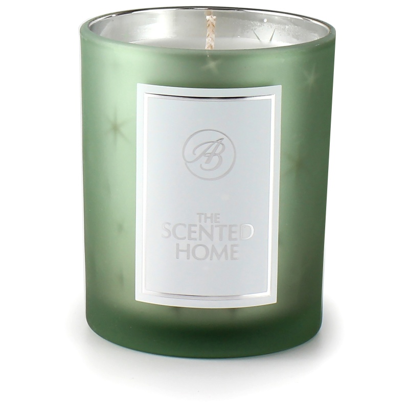 Ashleigh & Burwood Frosted Holly Candle - 170g