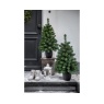 Kaemingk Imperial Pre-lit Potted Tree