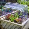 Smart Garden Clear Cloche Ends