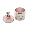 Silver Plated Tooth & Curl Box Set Pink