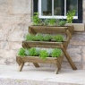 Zest Zest Garden Stepped Wooden Herb Planter