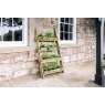 Zest Garden Wooden Ladder Planter