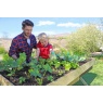 Zest Garden Wooden Veg Bed - 2m