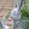 Bunny Large Pot - Distressed White