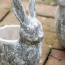 Bunny Small Pot - Distressed White