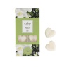 Ashleigh & Burwood Scented Home Jasmine & Tuberose Wax Melts