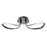 BHS BHS Alvar 2 Light Wall/Ceiling Light - Black