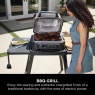 Ninja Ninja OG850UKKIT Woodfire Pro XL Electric BBQ Grill With Cover - Black/Grey