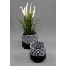 Esselle Barnes Set Of 2 Round Jute/Cotton Baskets - Black Stripe