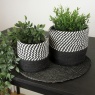 Esselle Barnes Set Of 2 Round Jute/Cotton Baskets - Black Stripe